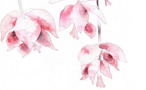 2027年01月10日动土好吗 是动土修造好日子吗