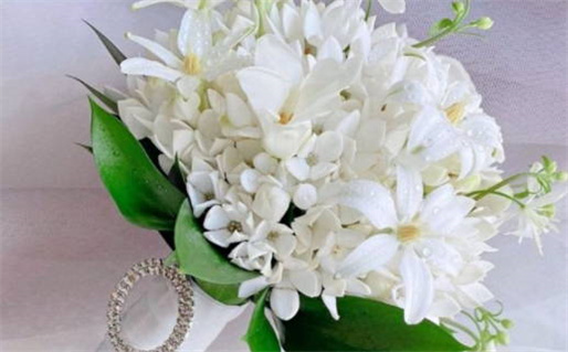 2028年农历三月十一结婚日子如何 适不适合办喜事