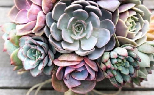 2028年09月04日结婚黄道吉日 今日办喜事好吗 2028年09月04日结婚黄道吉日 今日办喜事好吗