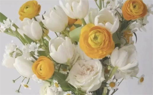 2026年10月09日是不是领证吉日 今日登记领证好吗