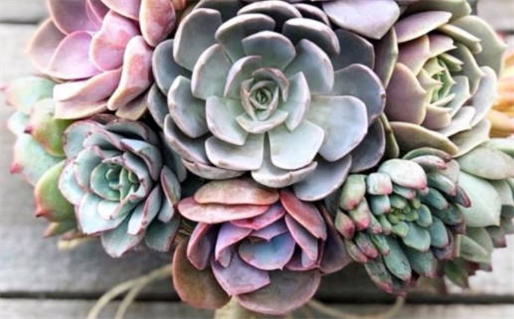 2026年农历七月初五领证黄道吉日 宜领证结婚吉日查询 2026年农历七月初五领证黄道吉日 宜领证结婚吉日查询