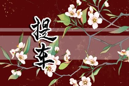 2026年09月10日提车好不好 是提车好日子吗