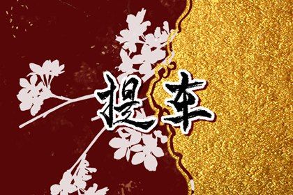 2025年11月29日提车好吗 今日买新车好不好