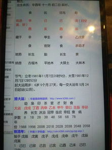 八字命格财富船(八字的财富层次决定人生财富程度)