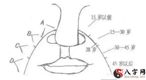 面相丨这些面相特征,官相自成