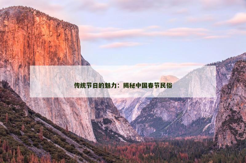 传统节日的魅力:揭秘中国春节民俗