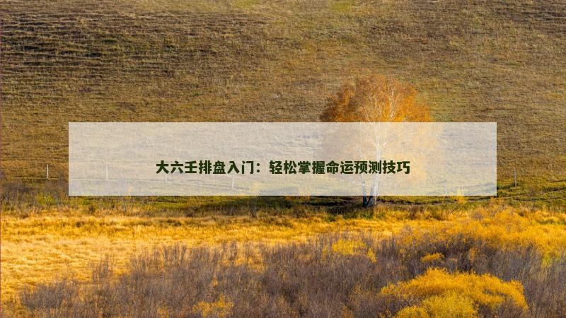 大六壬排盘入门:轻松掌握命运预测技巧