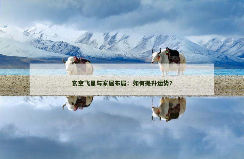 玄空飞星与家居布局:如何提升运势?