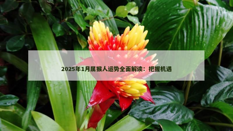 2025年1月属猴人运势全面解读:把握机遇