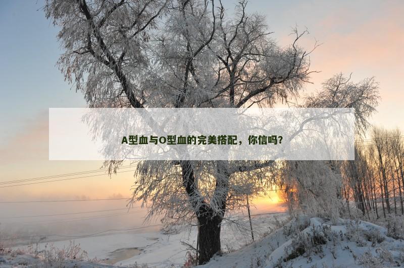 A型血与O型血的完美搭配，你信吗？