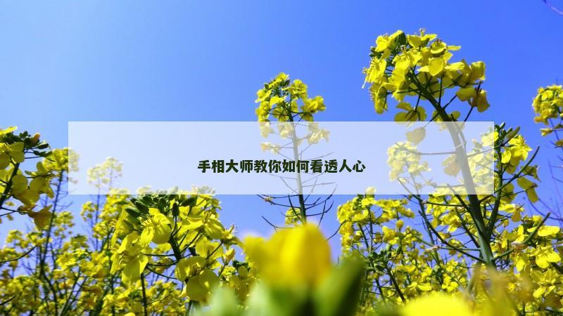 手相大师教你如何看透人心