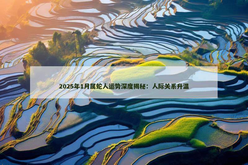 2025年1月属蛇人运势深度揭秘：人际关系升温