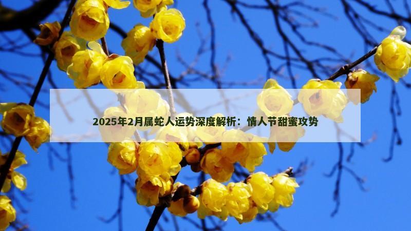 2025年2月属蛇人运势深度解析：情人节甜蜜攻势