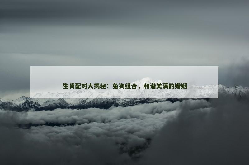生肖配对大揭秘：兔狗组合，和谐美满的婚姻