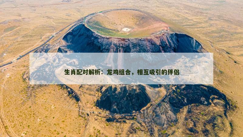 生肖配对解析：龙鸡组合，相互吸引的伴侣