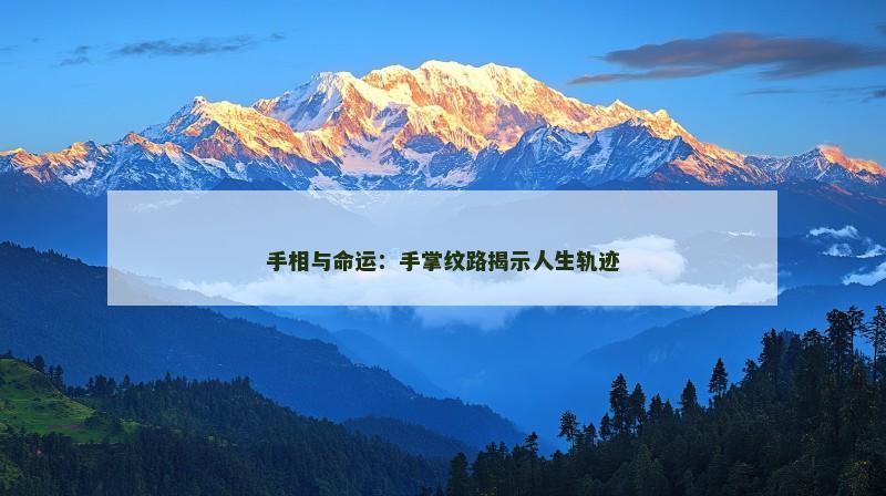 手相与命运:手掌纹路揭示人生轨迹