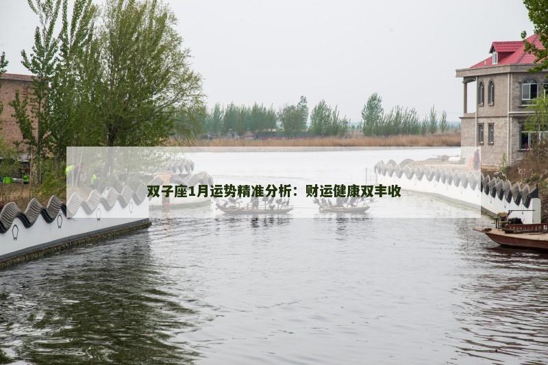 双子座1月运势精准分析:财运健康双丰收