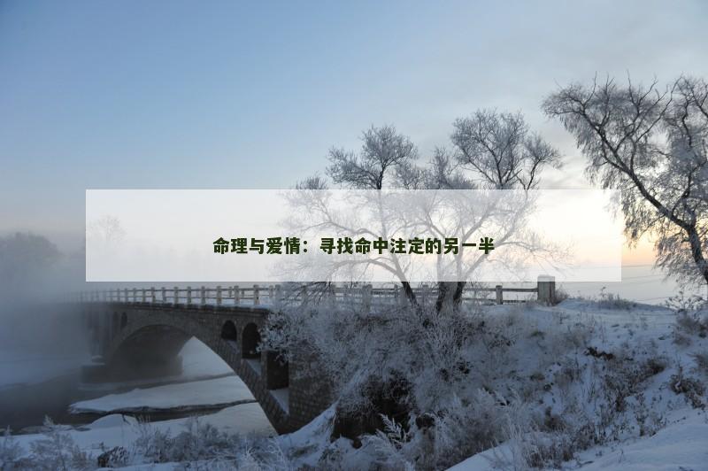 命理与爱情:寻找命中注定的另一半