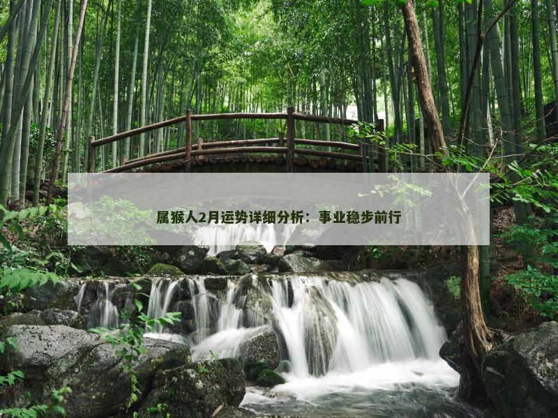 属猴人2月运势详细分析:事业稳步前行