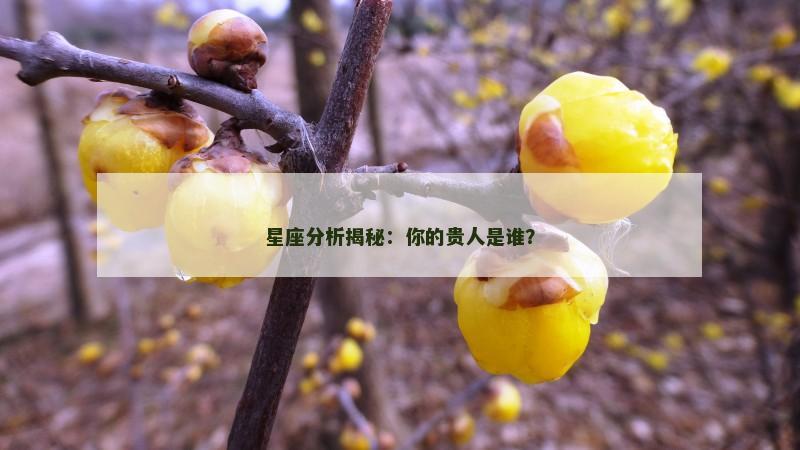 星座分析揭秘：你的贵人是谁？