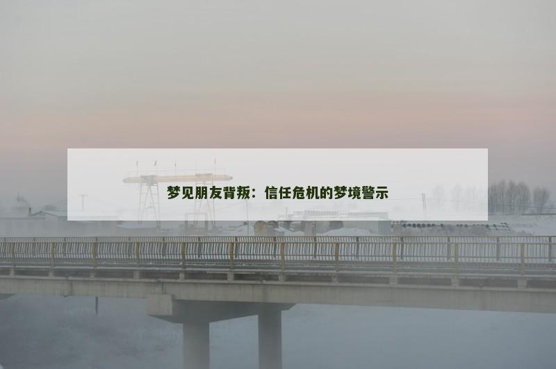 梦见朋友背叛：信任危机的梦境警示