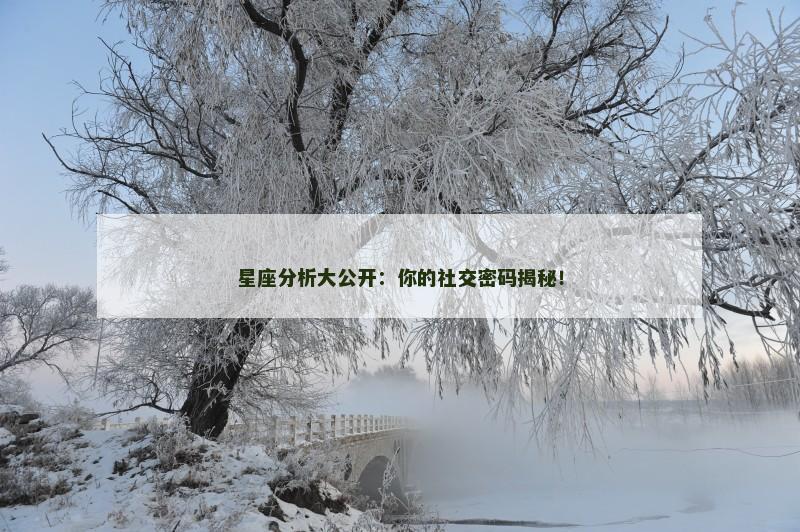 星座分析大公开：你的社交密码揭秘！