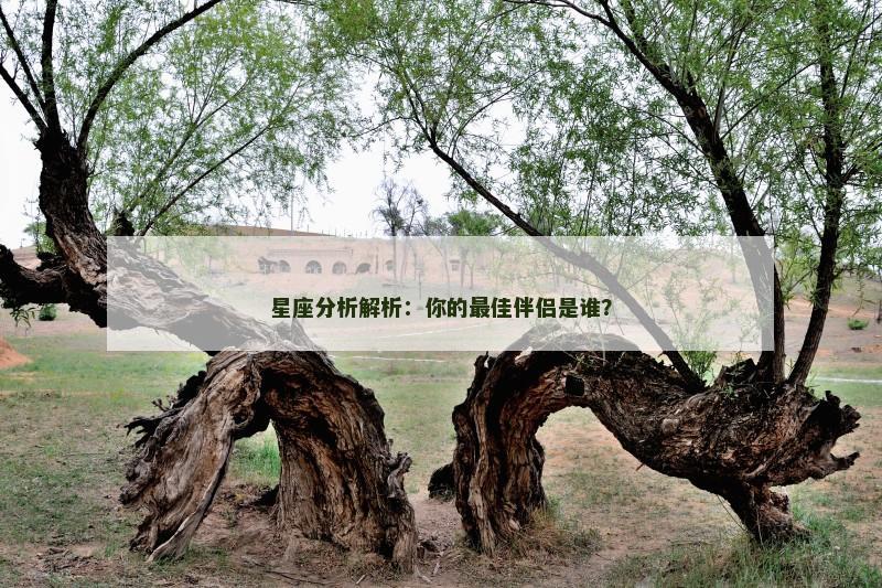 星座分析解析：你的最佳伴侣是谁？