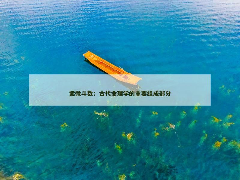 紫微斗数：古代命理学的重要组成部分