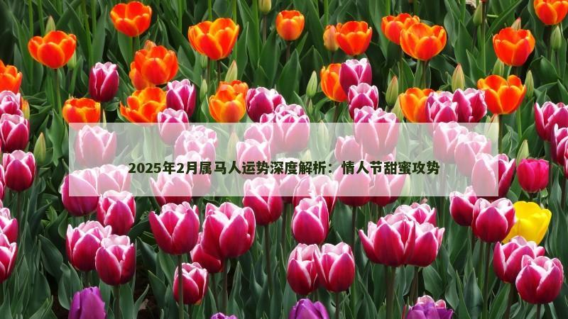 2025年2月属马人运势深度解析：情人节甜蜜攻势