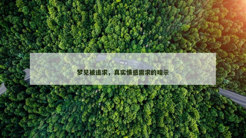 梦见被追求,真实情感需求的暗示