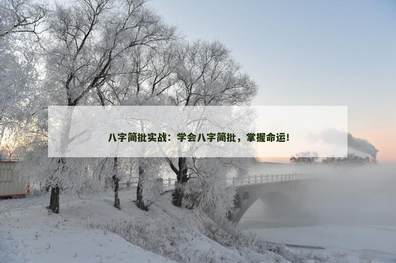 八字简批实战：学会八字简批，掌握命运！