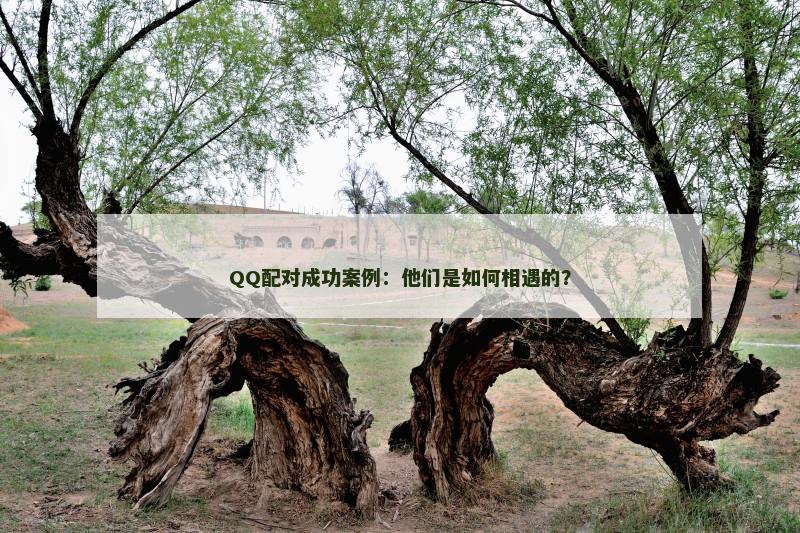 QQ配对成功案例：他们是如何相遇的？
