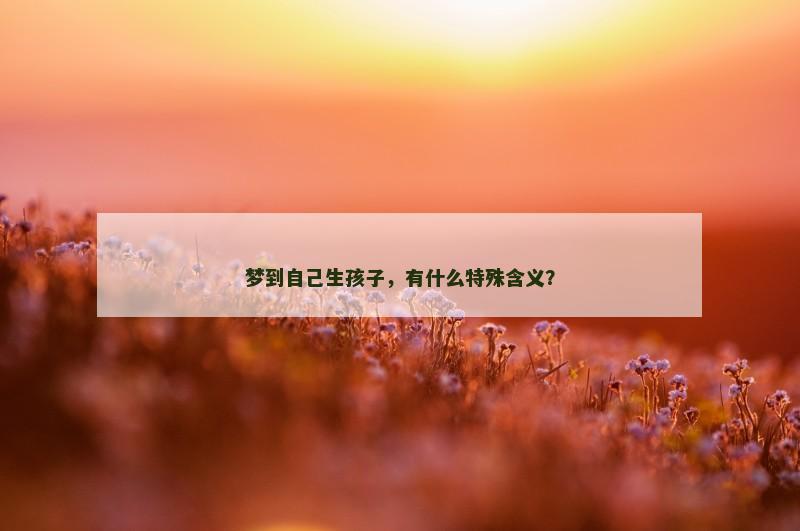 梦到自己生孩子，有什么特殊含义？