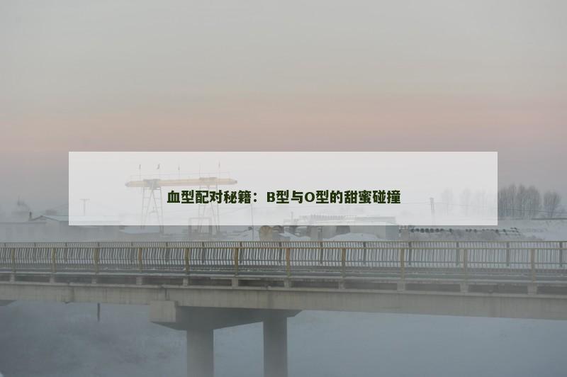 血型配对秘籍：B型与O型的甜蜜碰撞