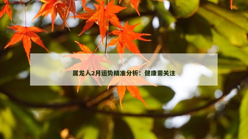 属龙人2月运势精准分析：健康需关注