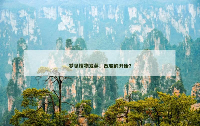 梦见植物发芽：改变的开始？