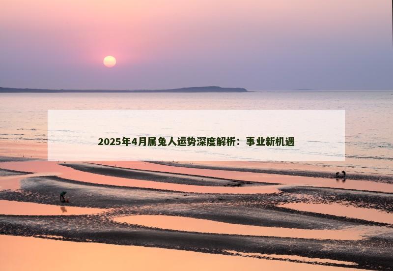 2025年4月属兔人运势深度解析:事业新机遇