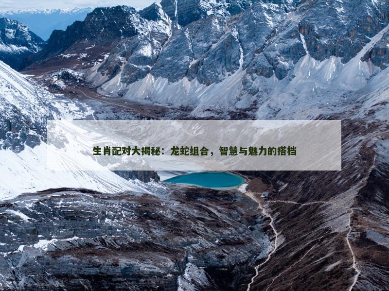 生肖配对大揭秘：龙蛇组合，智慧与魅力的搭档