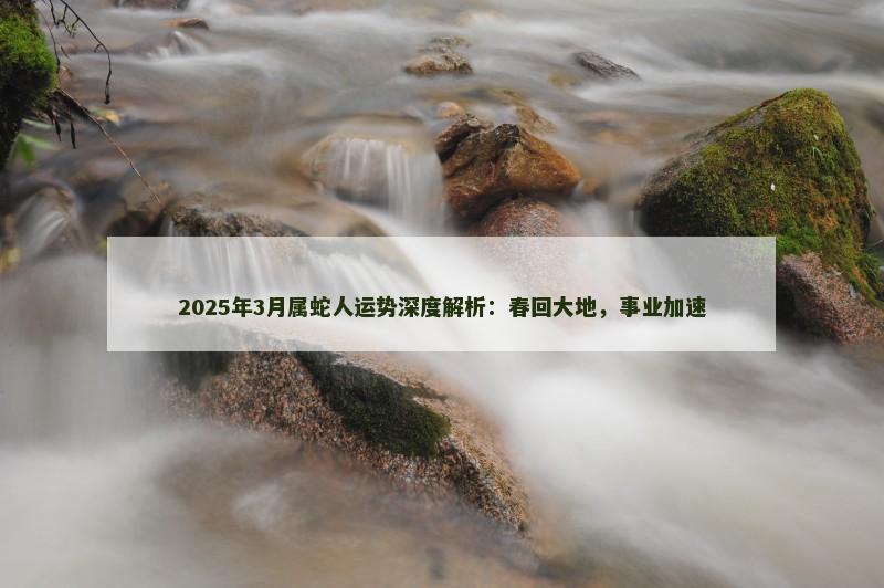 2025年3月属蛇人运势深度解析：春回大地，事业加速
