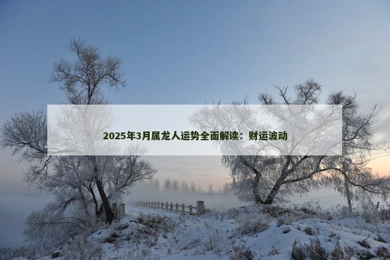 2025年3月属龙人运势全面解读：财运波动