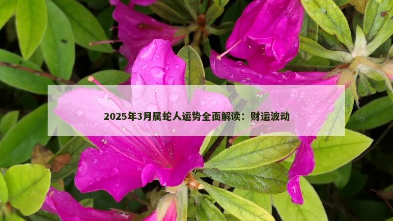 2025年3月属蛇人运势全面解读：财运波动