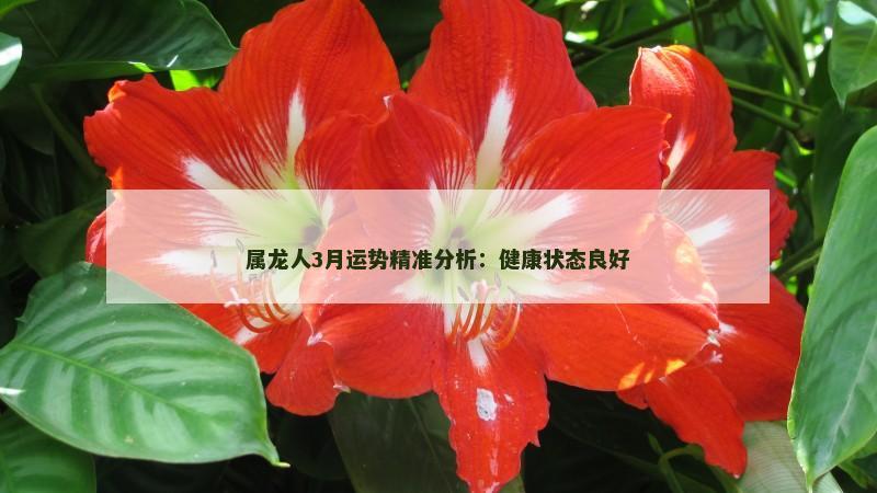 属龙人3月运势精准分析：健康状态良好
