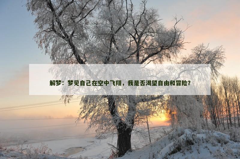 解梦：梦见自己在空中飞翔，我是否渴望自由和冒险？
