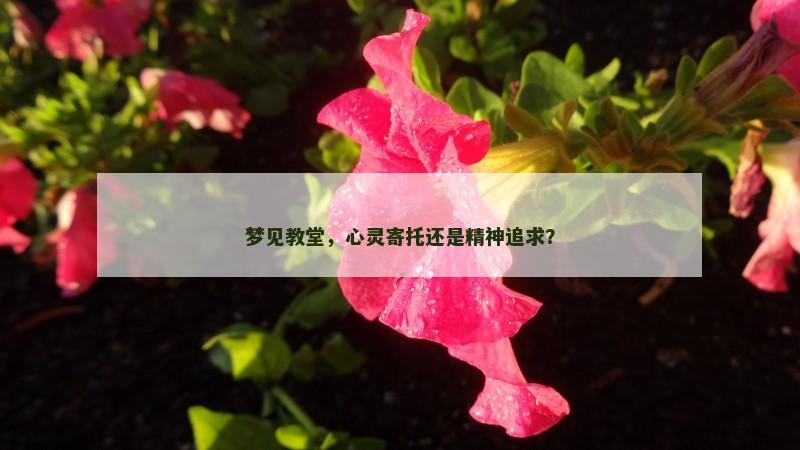 梦见教堂，心灵寄托还是精神追求？