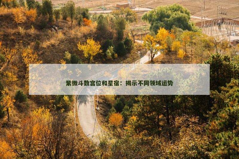 紫微斗数宫位和星宿：揭示不同领域运势
