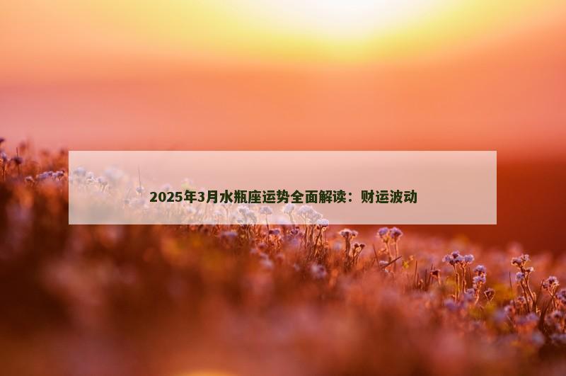 2025年3月水瓶座运势全面解读:财运波动