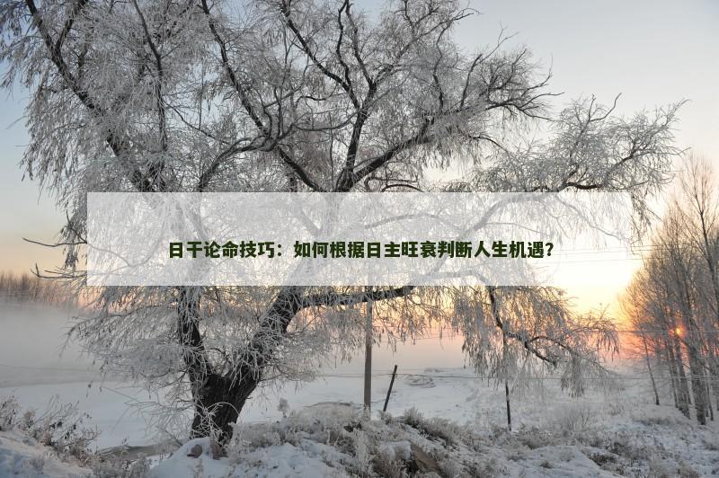 日干论命技巧：如何根据日主旺衰判断人生机遇？
