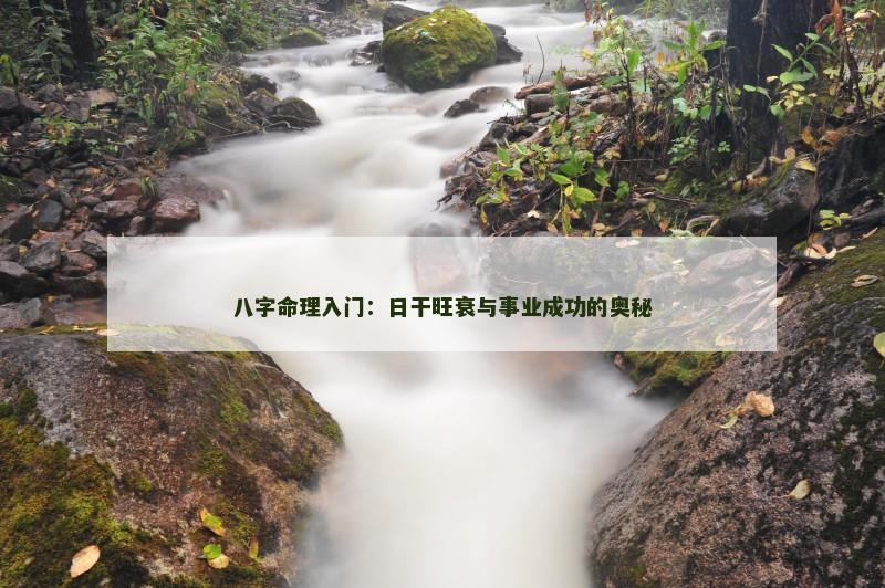八字命理入门：日干旺衰与事业成功的奥秘