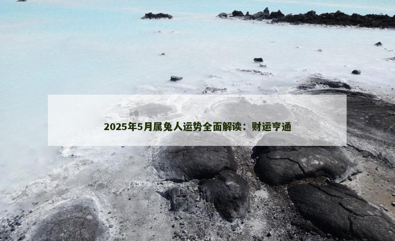 2025年5月属兔人运势全面解读:财运亨通