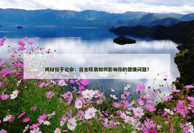 揭秘日干论命：日主旺衰如何影响你的健康问题？